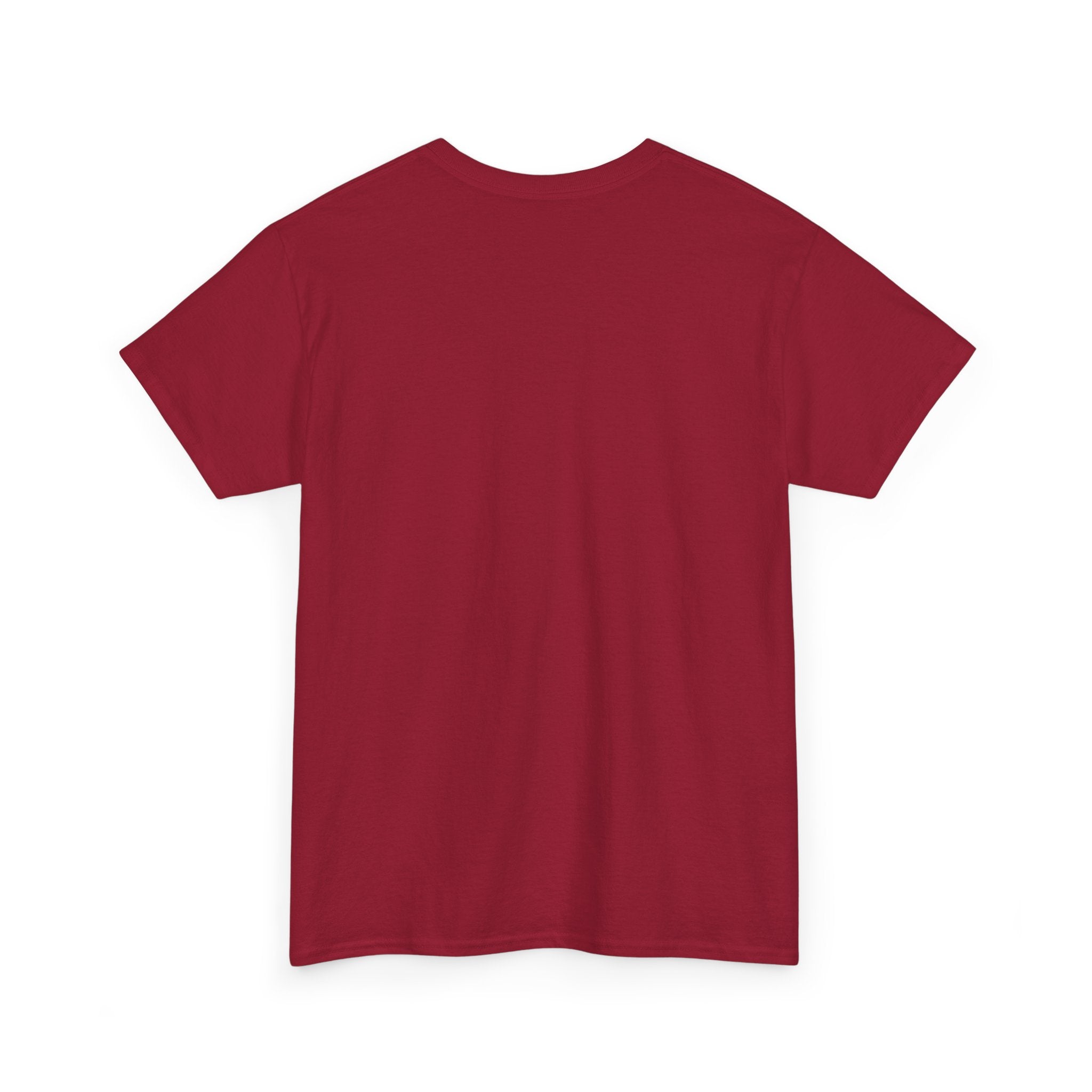 Spacera Unisex Heavy Cotton Tee — UK