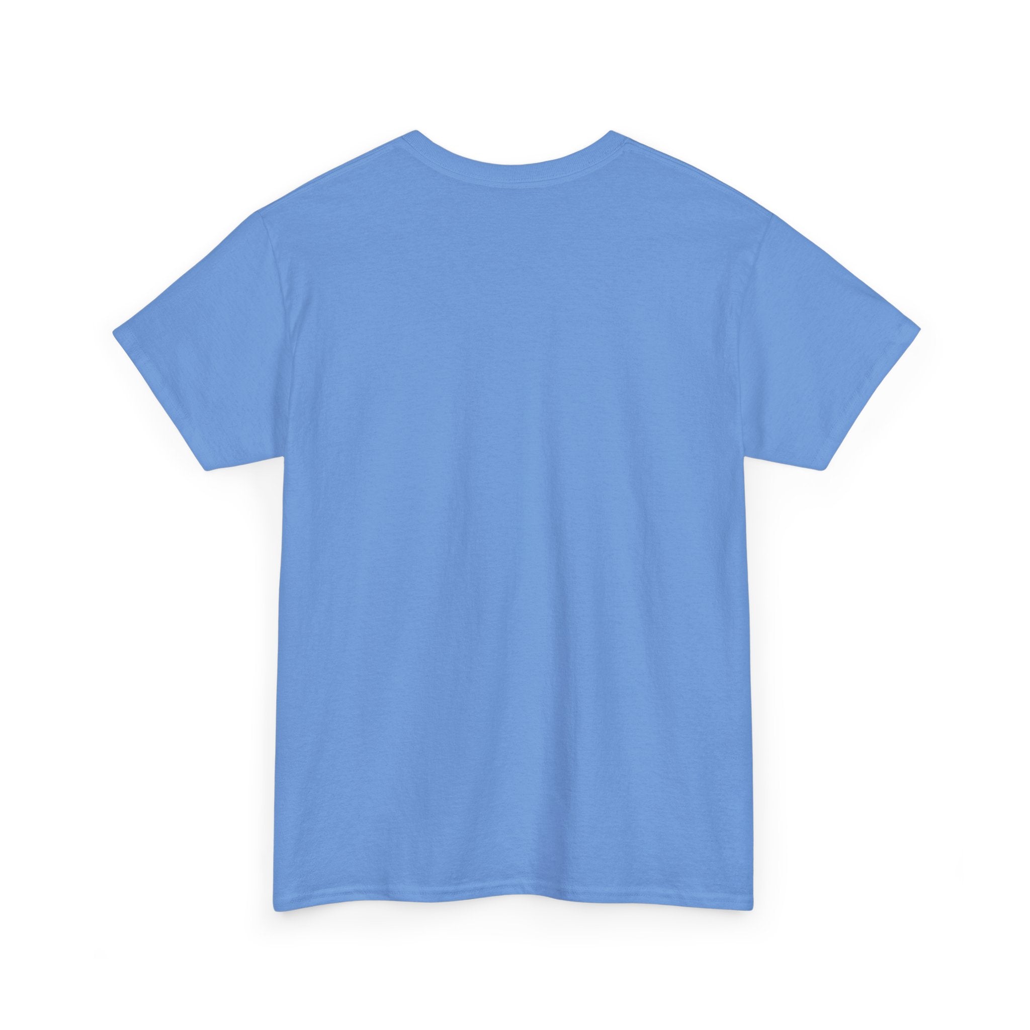 Spacera Unisex Heavy Cotton Tee — UK